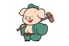 國富縱橫 國富縱橫